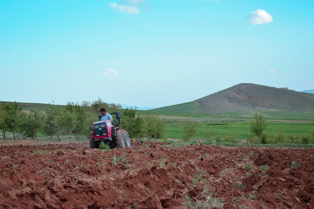 Suelo agrícola