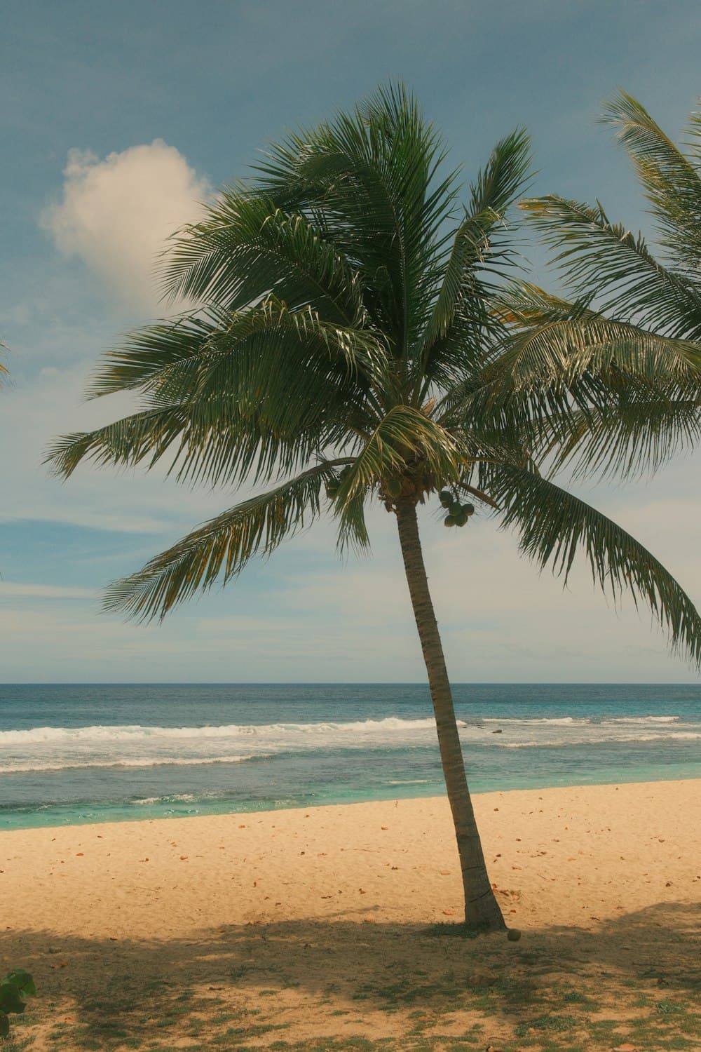 Costa del Caribe
